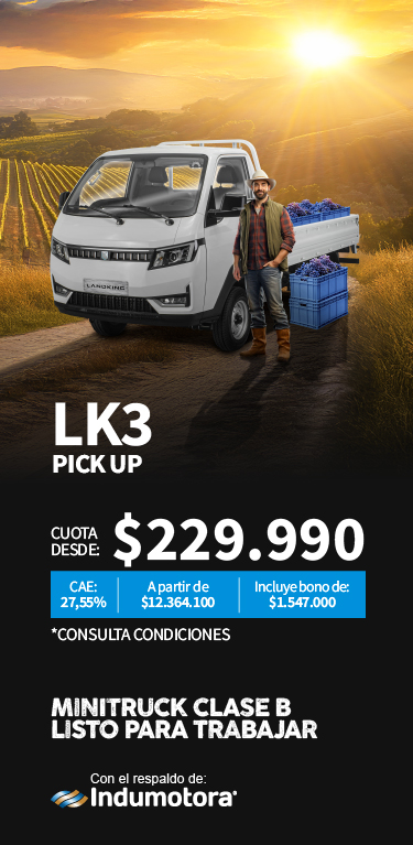 Vitrina 1 - LK3 Dealer