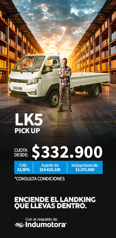 Vitrina 2 - LK5 Dealer